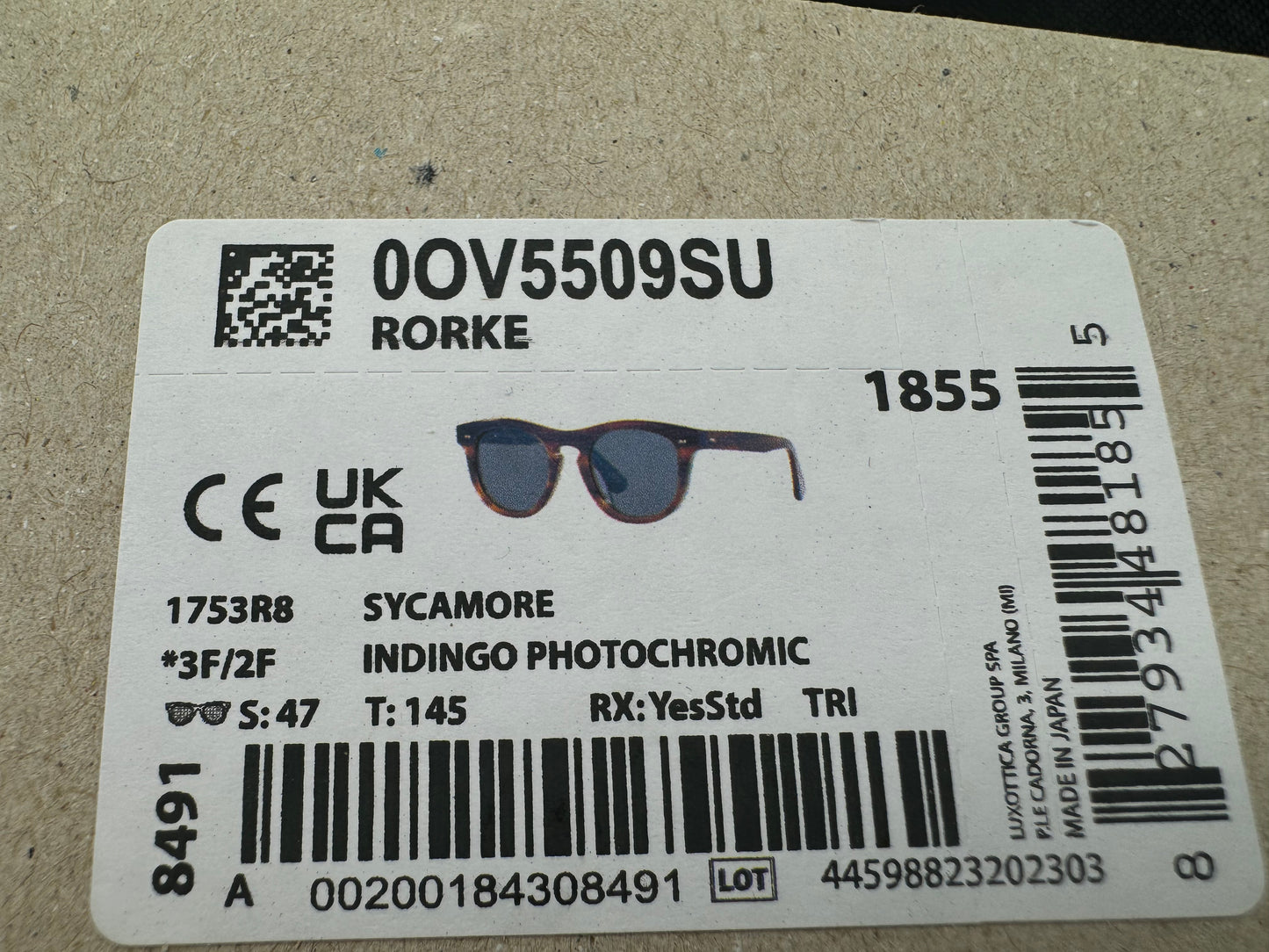 Oliver Peoples Rorke 47mm Sycamore / Indigo Photochromic 1753RB JAPAN NEW